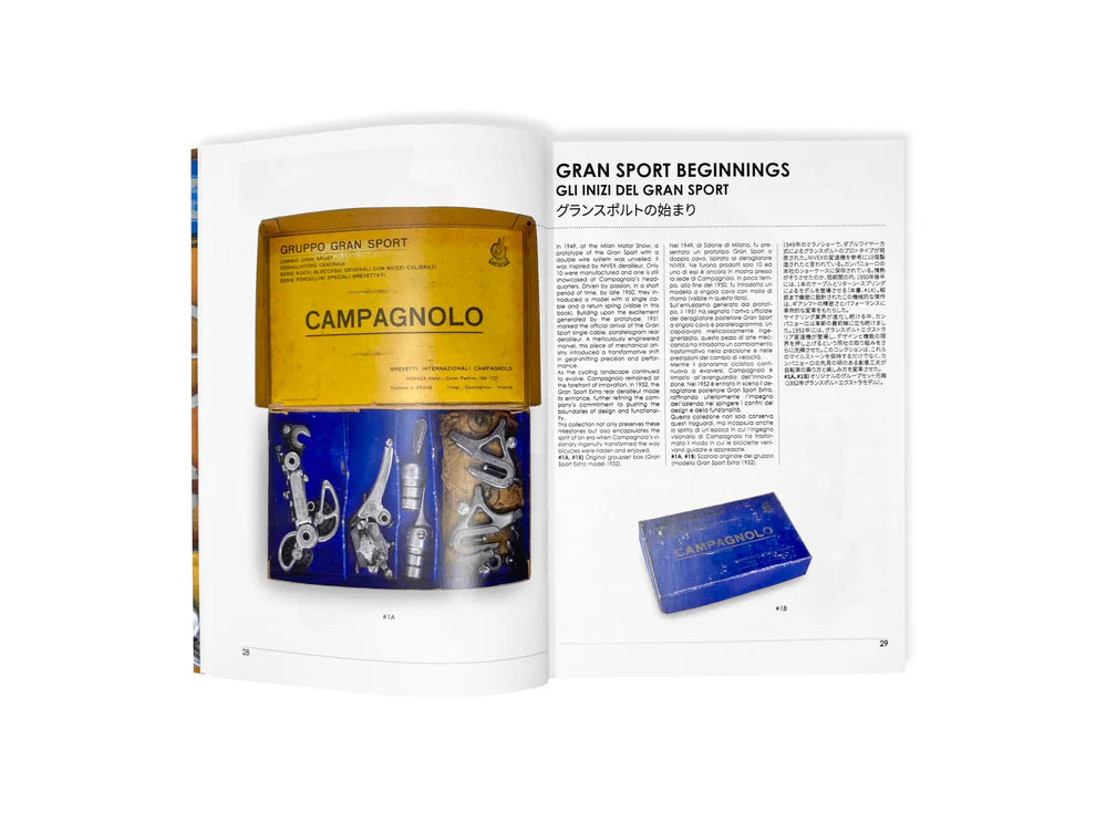 CAMPAGNOLO COLLECTION